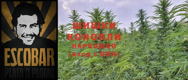 PSILOCYBIN Балабаново
