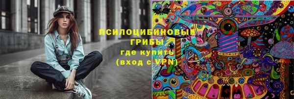 ECSTASY Пестово