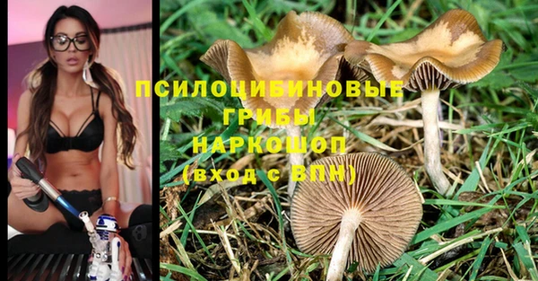 ECSTASY Пестово